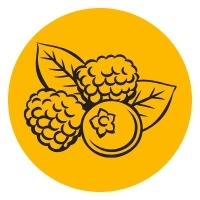 Crystal vape smaker br